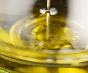 Bio-Olivenöl Velanidia